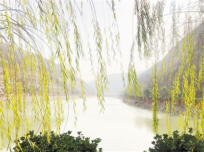 中国情形报：守护三秦大地绿水青山——bte365集团建设以来，，，，，，成为陕西污染防治的排头兵