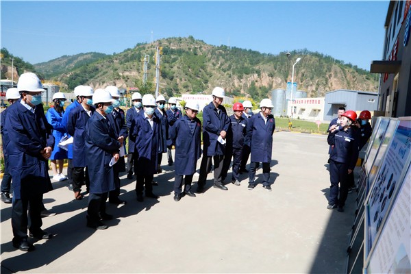 bte365集团复工复产促增添项目观摩聚会与会职员走进环保保隆生态三秦在延在铜项目