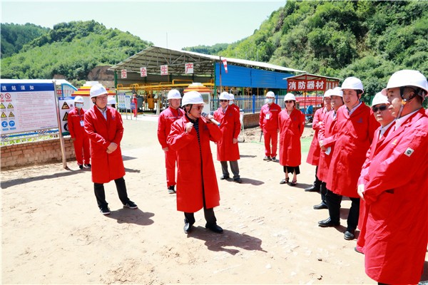 bte365集团复工复产促增添项目观摩聚会与会职员走进环保保隆生态三秦在延在铜项目