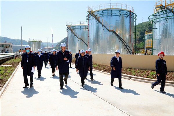 bte365集团复工复产促增添项目观摩聚会与会职员走进环保保隆生态三秦在延在铜项目