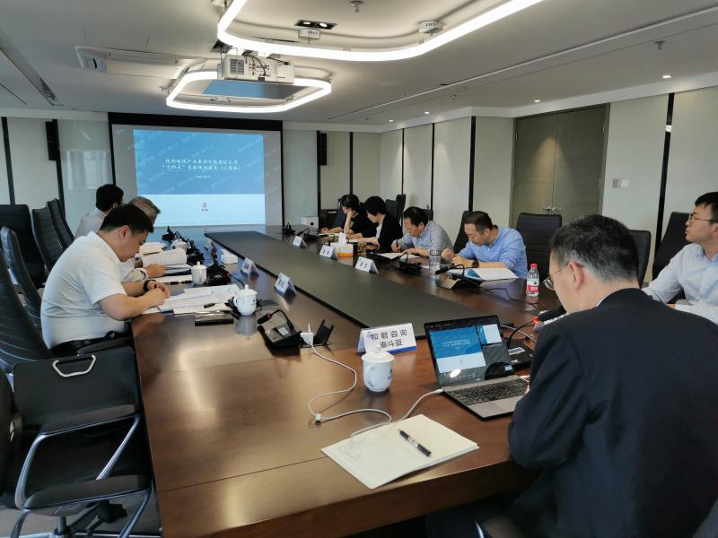 bte365集团召开“十四五”生长妄想专家评审座谈会