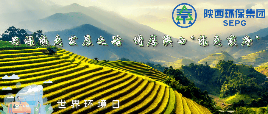 bte365集团｜同谋绿色生长之路 增厚陕西“绿色家底”