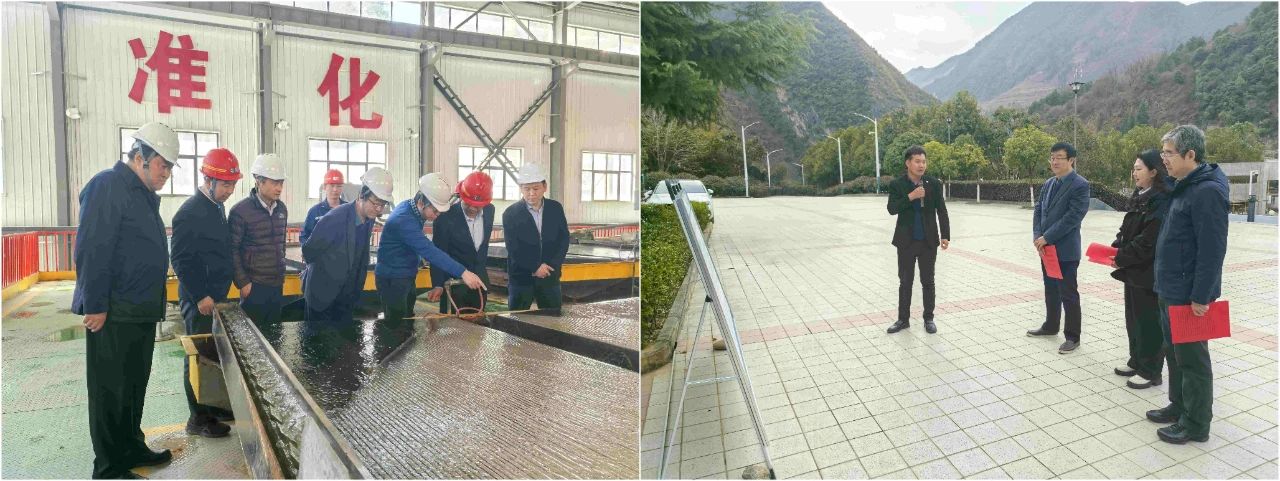 bte365集团外部董事赴鼎丰矿业公司、水情形公司镇安污水处置惩罚厂调研指导事情